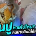 มันปูหายไปไหน?-คนขายลืมใส่รึเปล่า